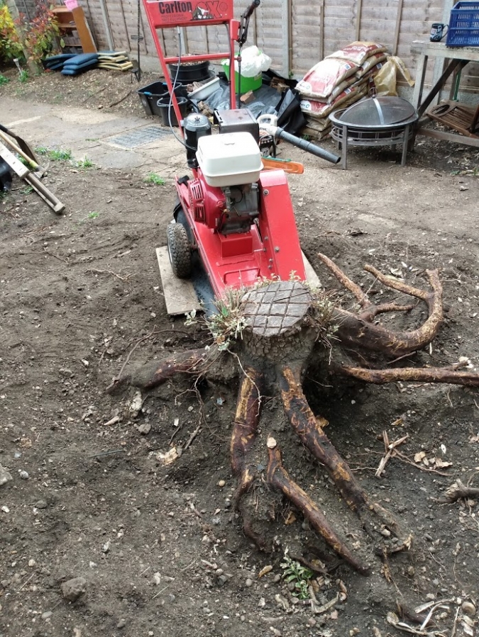 Before and After Stump Removal - Herts Stump Grinding and Removal -  The Tree Stump Removal Company