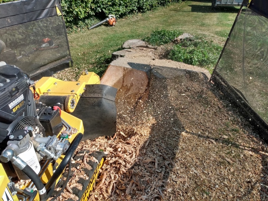 Before and After Stump Removal - Herts Stump Grinding and Removal -  The Tree Stump Removal Company