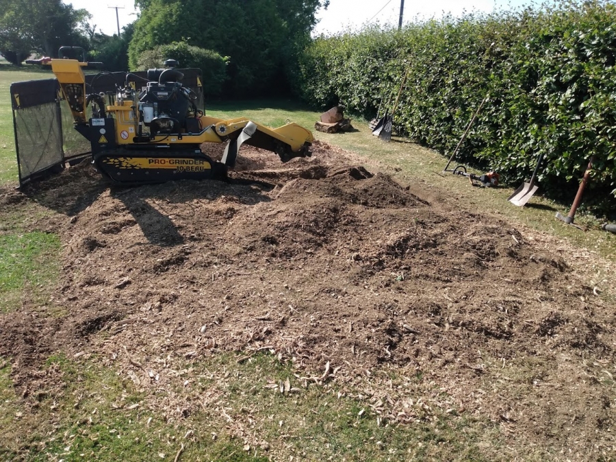 Before and After Stump Removal - Herts Stump Grinding and Removal -  The Tree Stump Removal Company