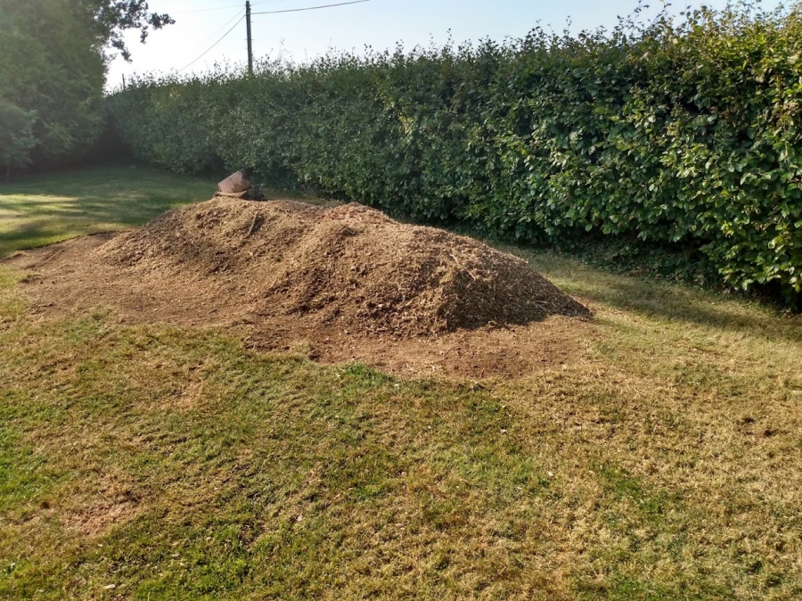 Before and After Stump Removal - Herts Stump Grinding and Removal -  The Tree Stump Removal Company