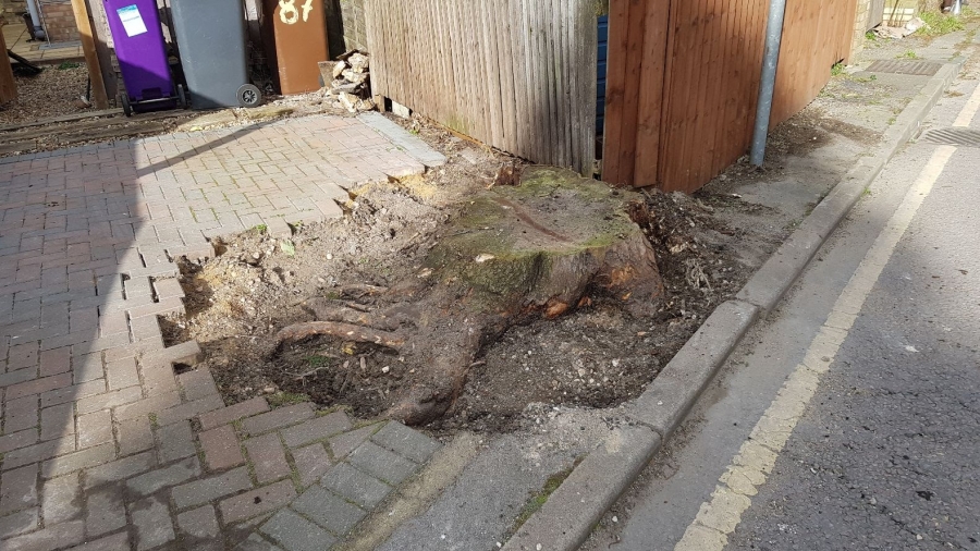 Before and After Stump Removal - Herts Stump Grinding and Removal -  The Tree Stump Removal Company