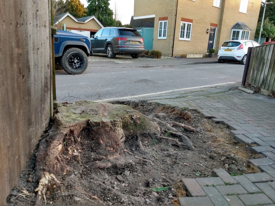 Before and After Stump Removal - Herts Stump Grinding and Removal -  The Tree Stump Removal Company
