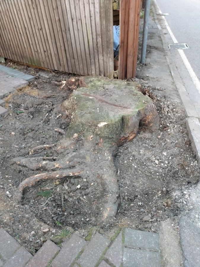 Before and After Stump Removal - Herts Stump Grinding and Removal -  The Tree Stump Removal Company