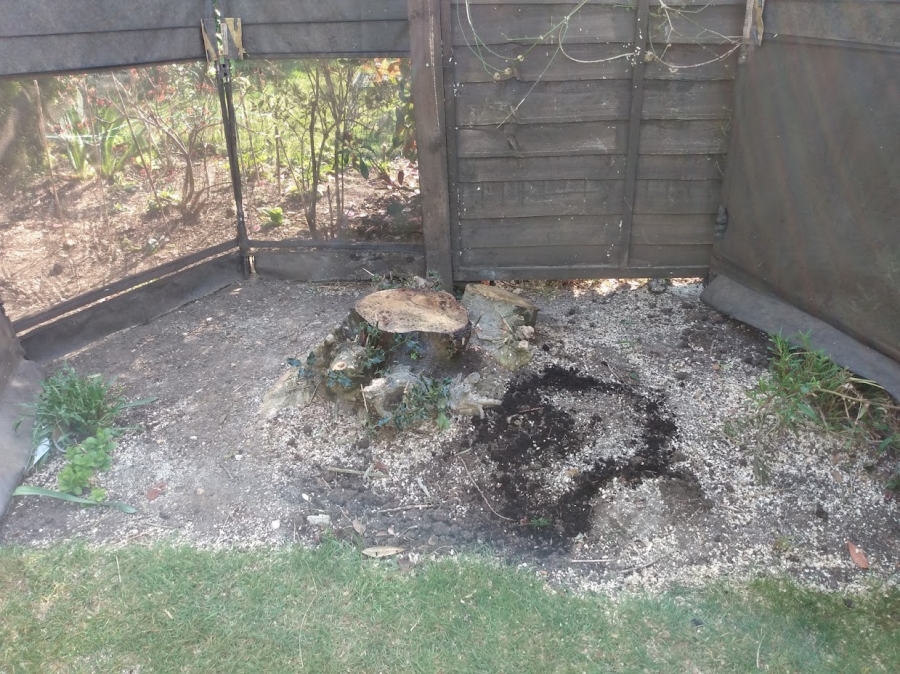 Before and After Stump Removal - Herts Stump Grinding and Removal -  The Tree Stump Removal Company