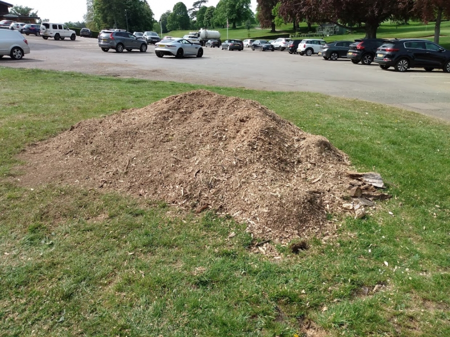 Before and After Stump Removal - Herts Stump Grinding and Removal -  The Tree Stump Removal Company