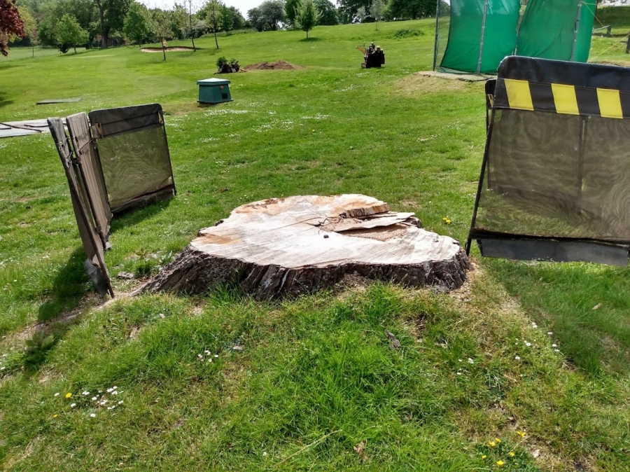 Before and After Stump Removal - Herts Stump Grinding and Removal -  The Tree Stump Removal Company