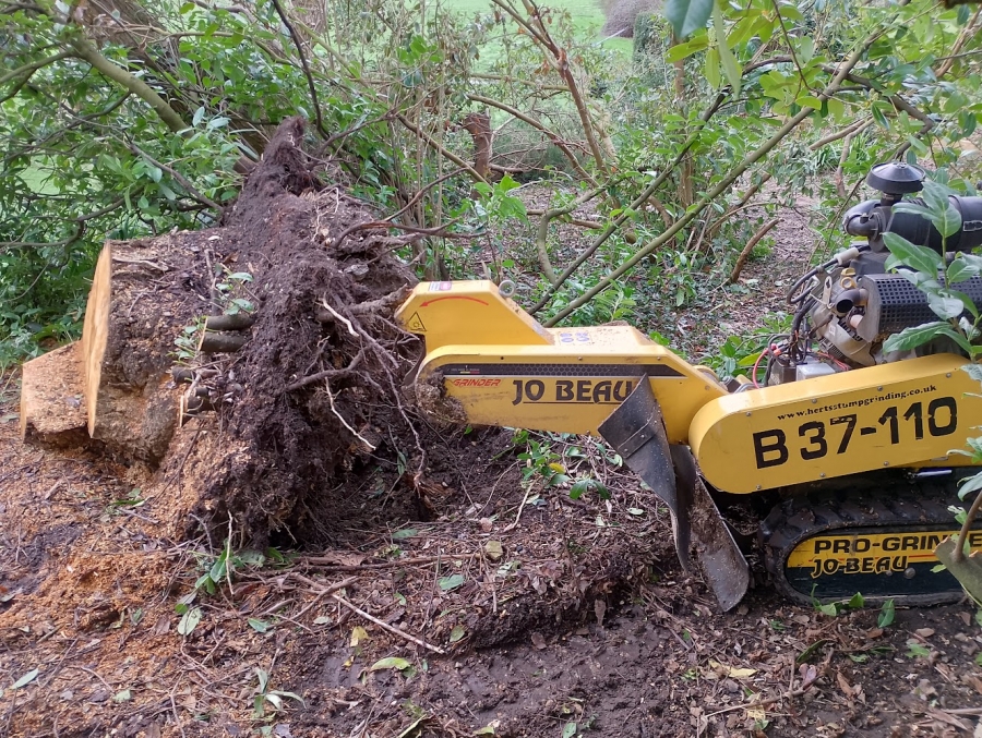 Before and After Stump Removal - Herts Stump Grinding and Removal -  The Tree Stump Removal Company