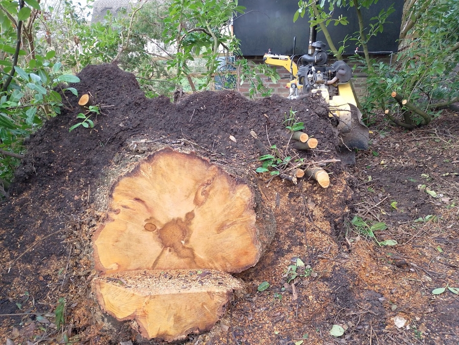 Before and After Stump Removal - Herts Stump Grinding and Removal -  The Tree Stump Removal Company