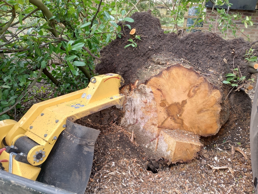 Before and After Stump Removal - Herts Stump Grinding and Removal -  The Tree Stump Removal Company