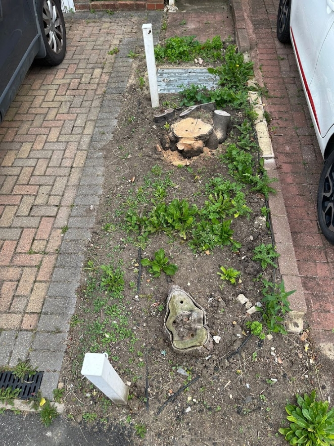 Before and After Stump Removal - Herts Stump Grinding and Removal -  The Tree Stump Removal Company
