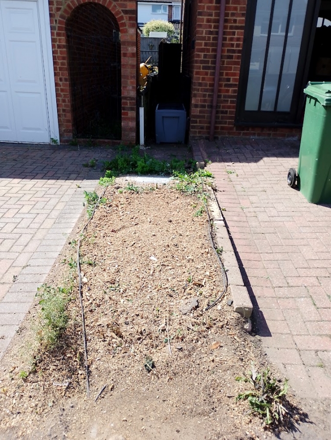 Before and After Stump Removal - Herts Stump Grinding and Removal -  The Tree Stump Removal Company