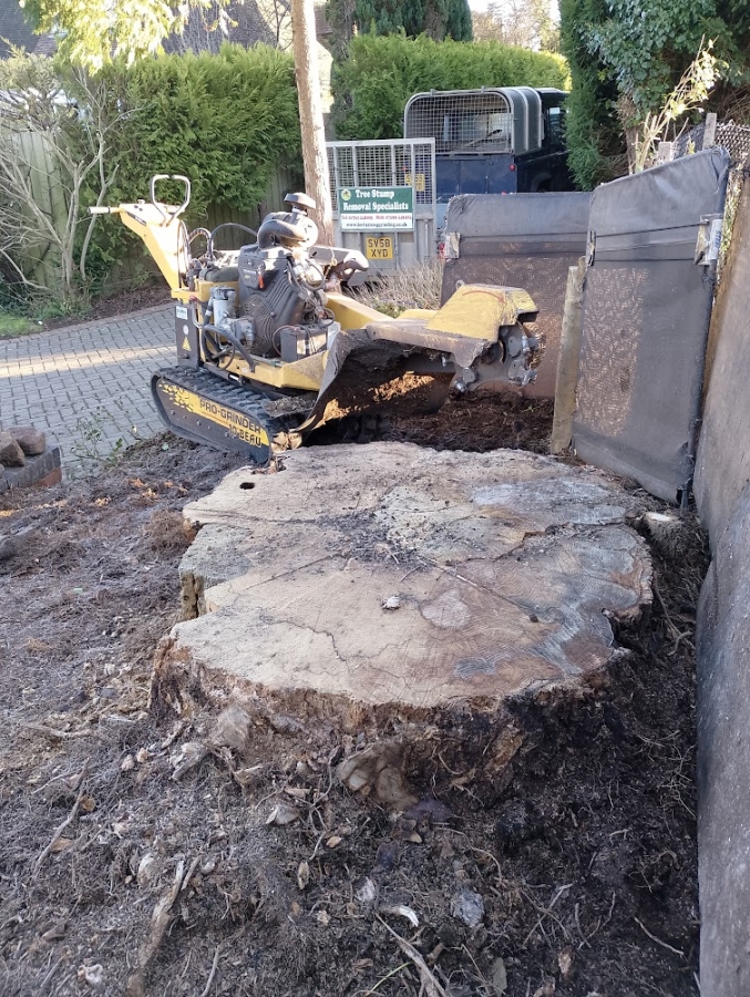 Before and After Stump Removal - Herts Stump Grinding and Removal -  The Tree Stump Removal Company