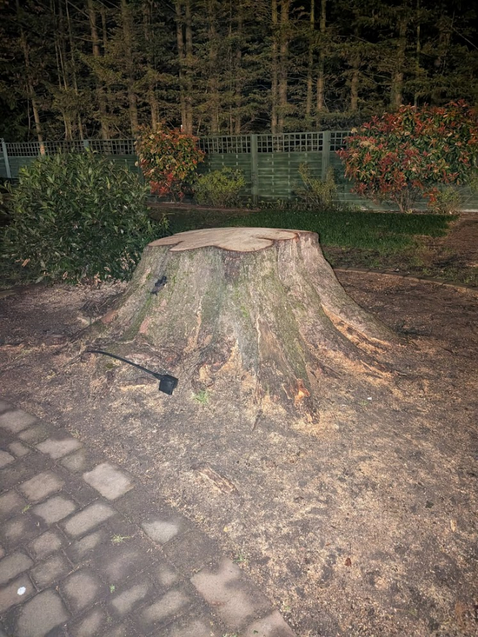 Before and After Stump Removal - Herts Stump Grinding and Removal -  The Tree Stump Removal Company