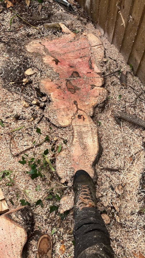 Narrow Access Stump Removal - Herts Stump Grinding and Removal -  The Tree Stump Removal Company