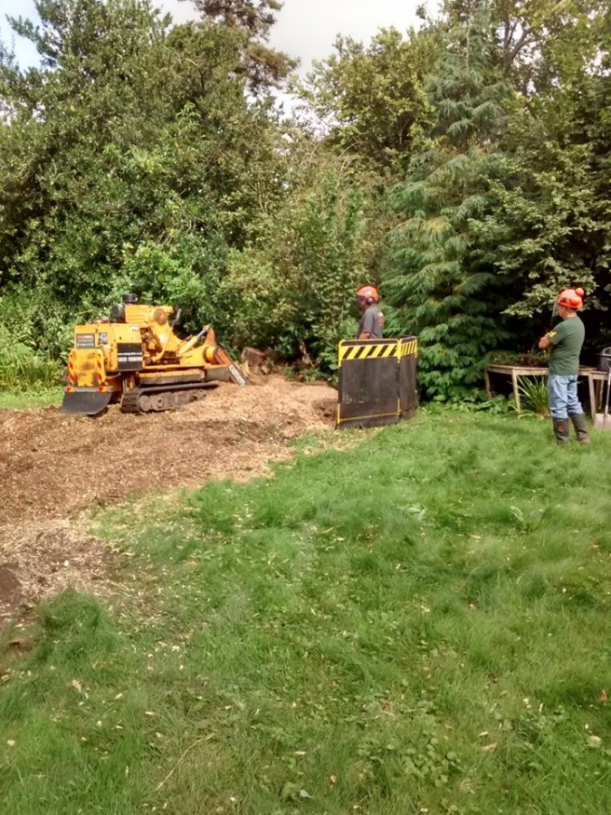 Commercial Tree Stump Removal - Herts Stump Grinding and Removal -  The Tree Stump Removal Company