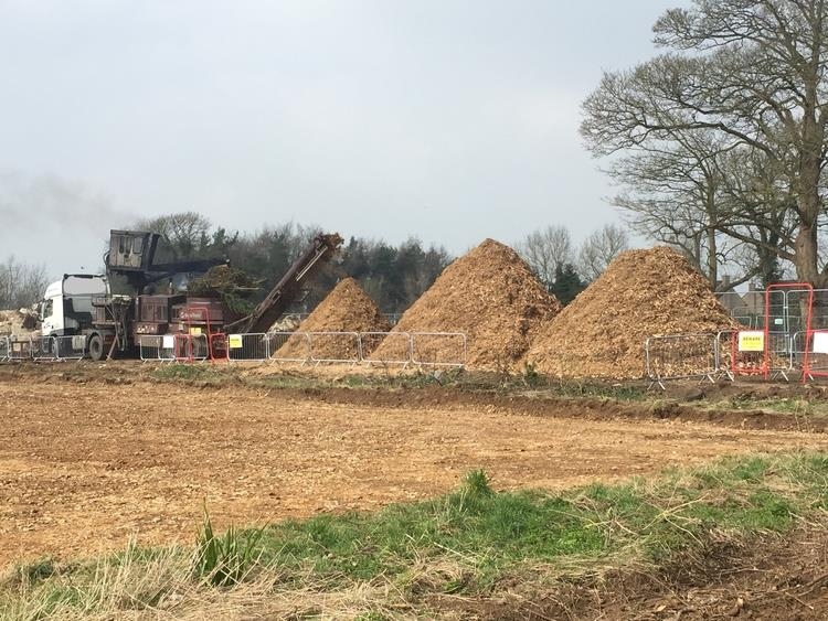 Commercial Tree Stump Removal - Herts Stump Grinding and Removal -  The Tree Stump Removal Company