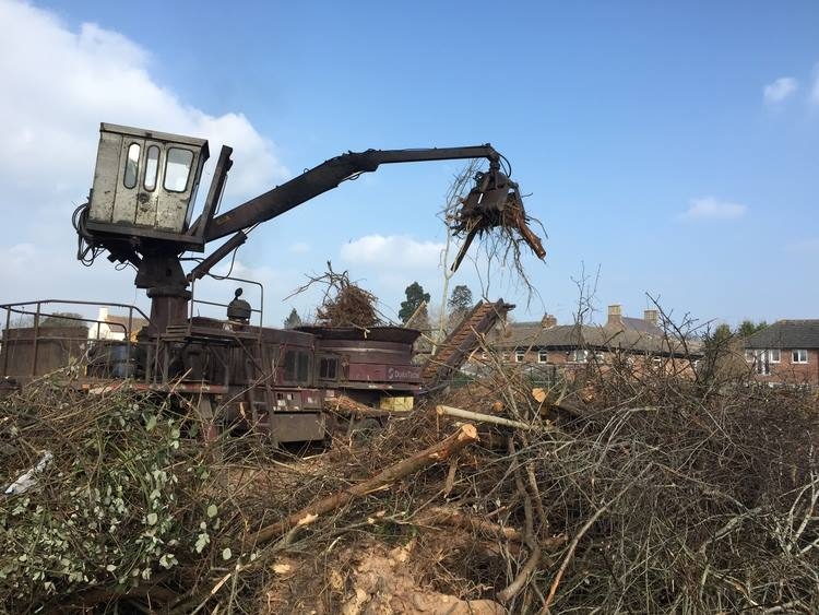 Commercial Tree Stump Removal - Herts Stump Grinding and Removal -  The Tree Stump Removal Company
