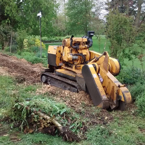 Commercial Tree Stump Removal - Herts Stump Grinding and Removal -  The Tree Stump Removal Company