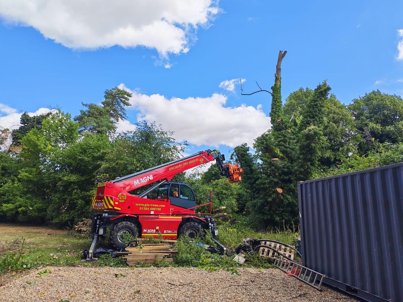 Commercial Tree Stump Removal - Herts Stump Grinding and Removal -  The Tree Stump Removal Company