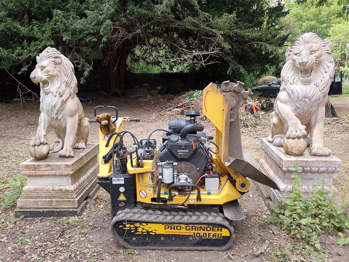 Gallery for Home Page - Herts Stump Grinding and Removal -  The Tree Stump Removal Company