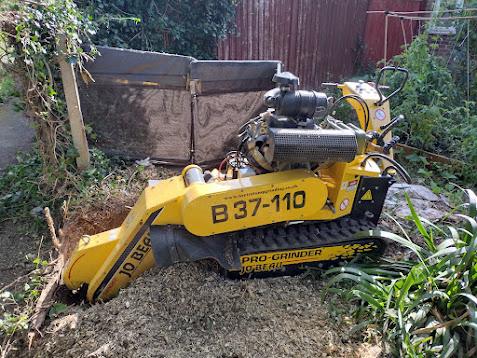 Gallery for Home Page - Herts Stump Grinding and Removal -  The Tree Stump Removal Company