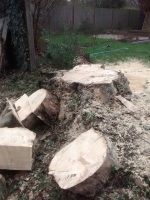 Before and after images