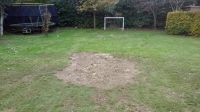 Before and after images