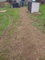 Before and after images