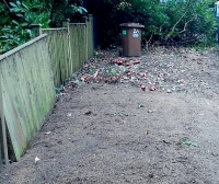 Before and after images