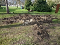 Before and after images