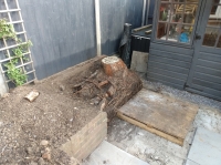 Before and after images