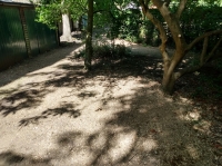 Before and after images
