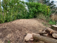 Before and after images