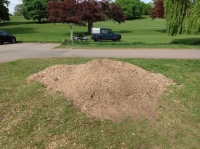 Before and after images