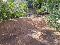 Before and after images