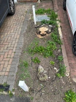 Before and after images