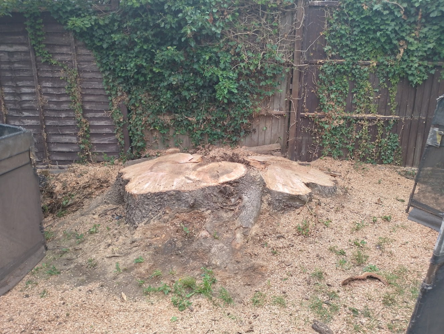 Images of some of our work