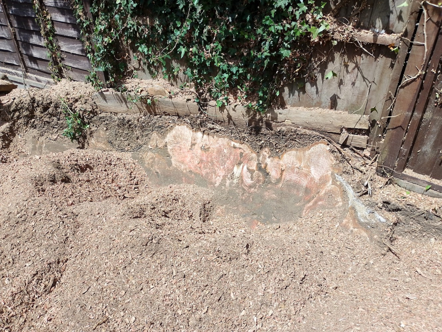 Images of some of our work