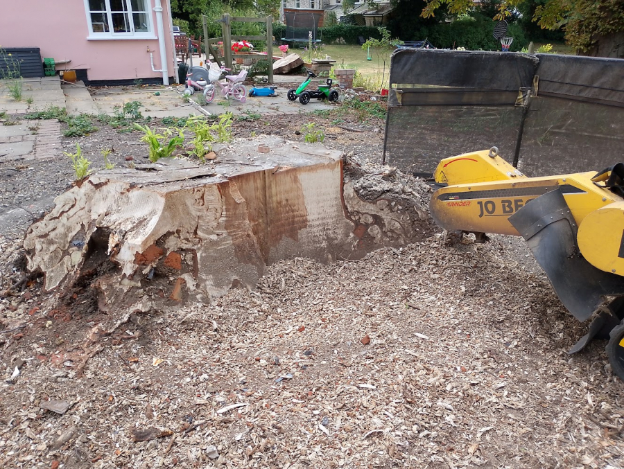 Images of some of our work