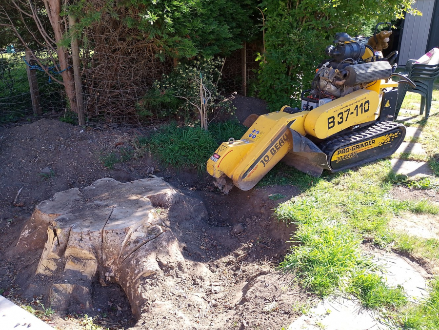 Why Choose Herts Stump Grinding?